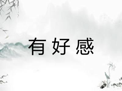 有好感