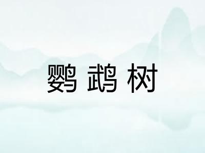鹦鹉树 鹦鹉树