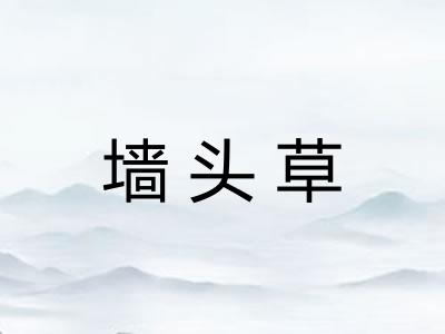 墙头草 墙头草