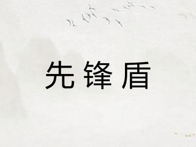 先锋盾 先锋盾
