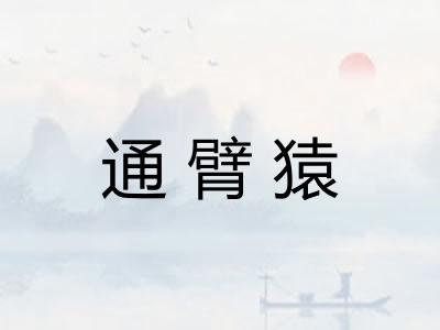 通臂猿 通臂猿