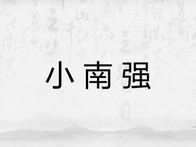 小南强 小南强
