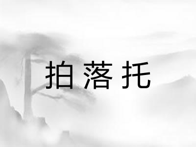 拍落托 拍落托