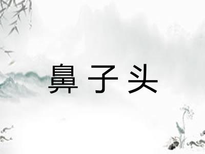 鼻子头