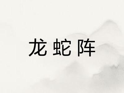 龙蛇阵 龙蛇阵