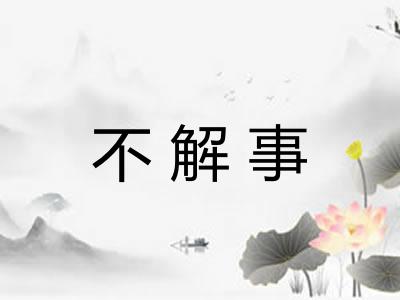 不解事