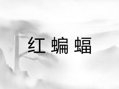 红蝙蝠