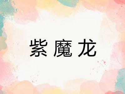 紫魔龙 紫魔龙