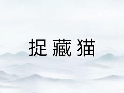 捉藏猫 捉藏猫