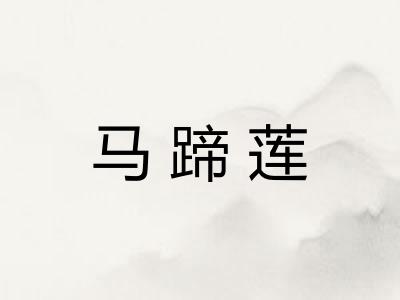 马蹄莲