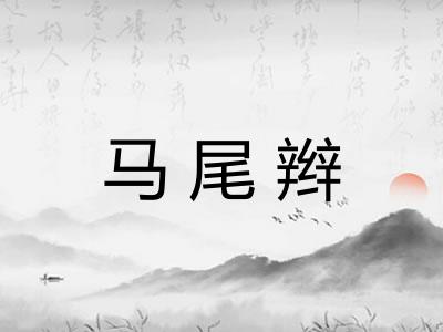 马尾辫