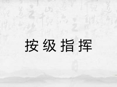 按级指挥