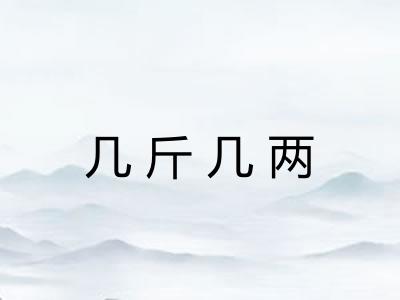几斤几两 几斤几两