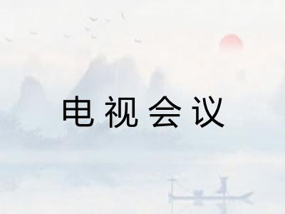 电视会议 电视会议