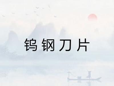 钨钢刀片