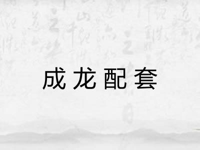 成龙配套