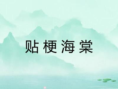 贴梗海棠 贴梗海棠
