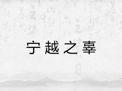 宁越之辜