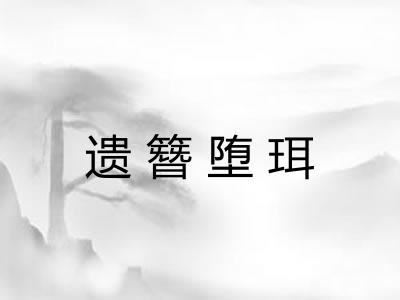 遗簪堕珥