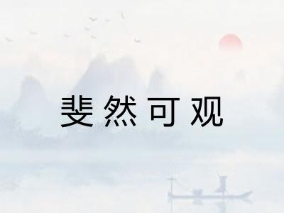 斐然可观 斐然可观