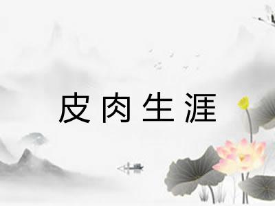 皮肉生涯 皮肉生涯