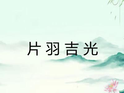 片羽吉光 片羽吉光