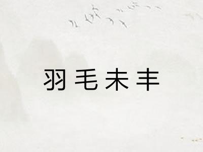 羽毛未丰 羽毛未丰