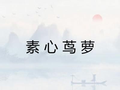 素心茑萝 素心茑萝