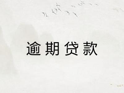 逾期贷款