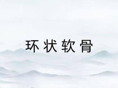 环状软骨 环状软骨