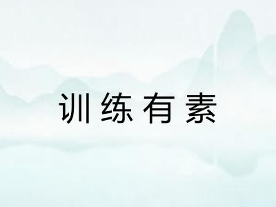 训练有素 训练有素
