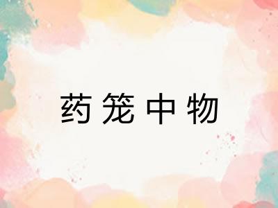 药笼中物