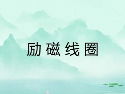 励磁线圈 励磁线圈