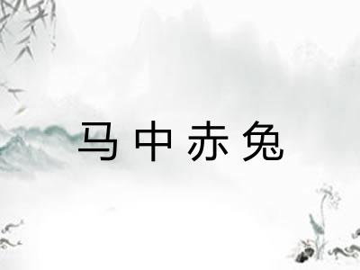 马中赤兔
