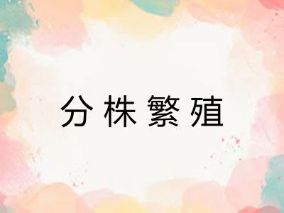 分株繁殖 分株繁殖