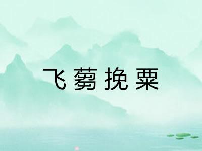 飞蒭挽粟