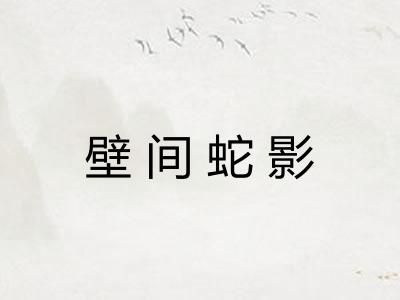 壁间蛇影