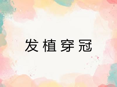 发植穿冠 发植穿冠