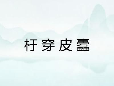 杅穿皮蠹