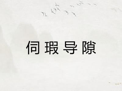 伺瑕导隙 伺瑕导隙