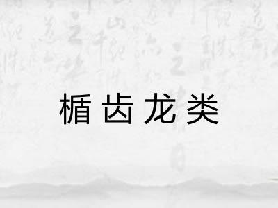 楯齿龙类 楯齿龙类