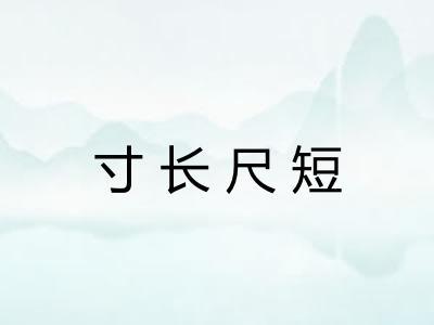 寸长尺短
