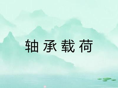 轴承载荷