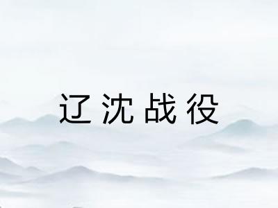 辽沈战役 辽沈战役