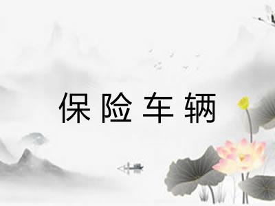 保险车辆 保险车辆