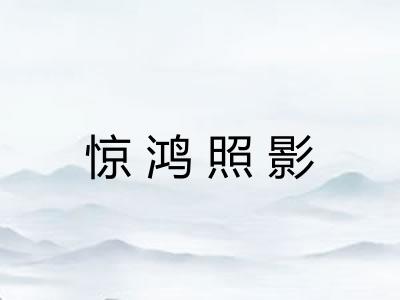 惊鸿照影