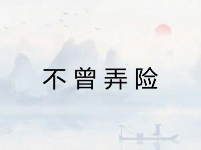 不曾弄险