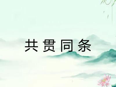 共贯同条