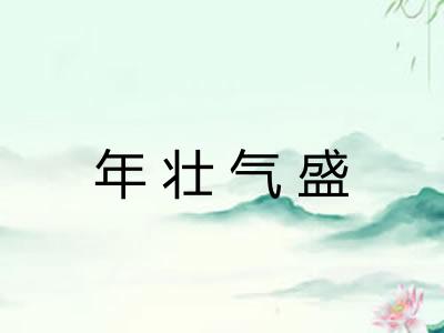 年壮气盛