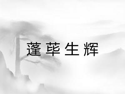蓬荜生辉